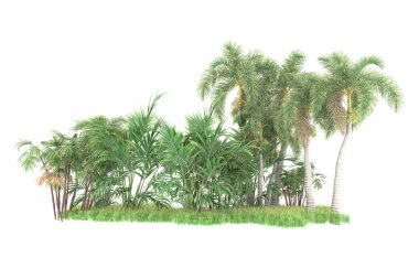 Beyaz arka planda izole edilmiş palmiye ağaçları adası. 3d görüntüleme - illüstrasyon