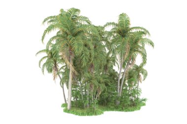 Beyaz arka planda izole edilmiş palmiye ağaçları adası. 3d görüntüleme - illüstrasyon
