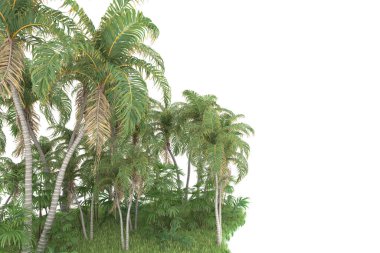 Beyaz arka planda izole edilmiş palmiye ağaçları adası. 3d görüntüleme - illüstrasyon