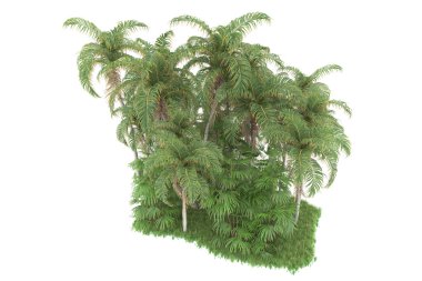 Beyaz arka planda izole edilmiş palmiye ağaçları adası. 3d görüntüleme - illüstrasyon