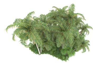 Beyaz arka planda izole edilmiş palmiye ağaçları adası. 3d görüntüleme - illüstrasyon