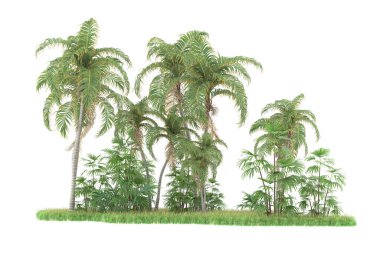 Beyaz arka planda izole edilmiş palmiye ağaçları adası. 3d görüntüleme - illüstrasyon