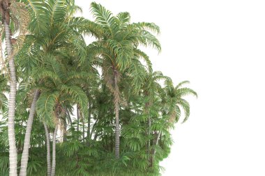 Beyaz arka planda izole edilmiş palmiye ağaçları adası. 3d görüntüleme - illüstrasyon