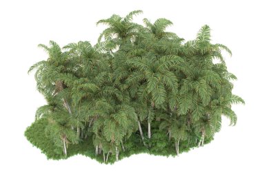 Beyaz arka planda izole edilmiş palmiye ağaçları adası. 3d görüntüleme - illüstrasyon