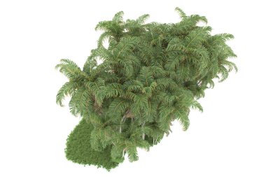 Beyaz arka planda izole edilmiş palmiye ağaçları adası. 3d görüntüleme - illüstrasyon