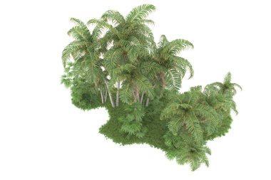 Beyaz arka planda izole edilmiş palmiye ağaçları adası. 3d görüntüleme - illüstrasyon