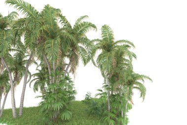 Beyaz arka planda izole edilmiş palmiye ağaçları adası. 3d görüntüleme - illüstrasyon