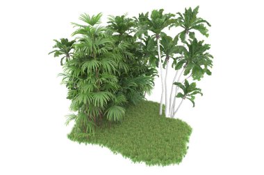 Beyaz arkaplanda izole edilmiş yeşil ağaçların 3d görüntülenmesi