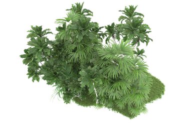 Beyaz arkaplanda izole edilmiş yeşil ağaçların 3d görüntülenmesi