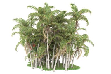 Beyaz arkaplanda izole edilmiş yeşil ağaçların 3d görüntülenmesi