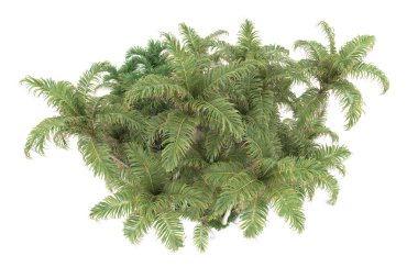 Beyaz arkaplanda izole edilmiş yeşil ağaçların 3d görüntülenmesi