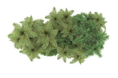 Beyaz arkaplanda izole edilmiş yeşil ağaçların 3d görüntülenmesi