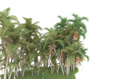 Beyaz arkaplanda izole edilmiş yeşil ağaçların 3d görüntülenmesi