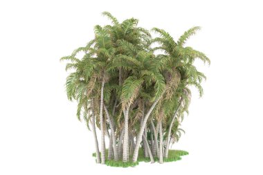 Beyaz arkaplanda izole edilmiş yeşil ağaçların 3d görüntülenmesi