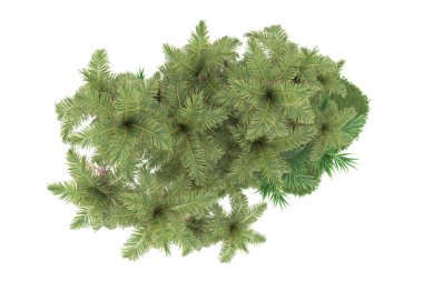 Beyaz arkaplanda izole edilmiş yeşil ağaçların 3d görüntülenmesi