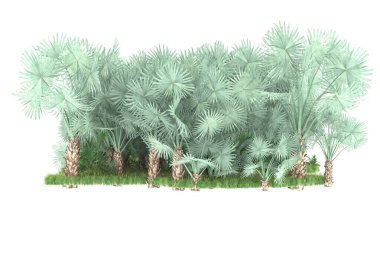 Beyaz arka planda izole edilmiş palmiye ağaçları adası. 3d görüntüleme - illüstrasyon