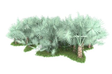 Beyaz arka planda izole edilmiş palmiye ağaçları adası. 3d görüntüleme - illüstrasyon