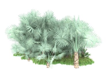 Beyaz arka planda izole edilmiş palmiye ağaçları adası. 3d görüntüleme - illüstrasyon