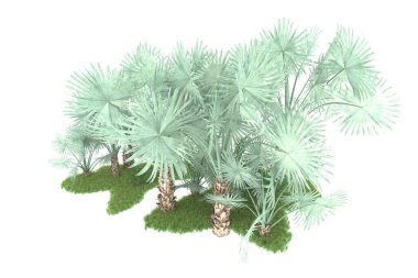 Beyaz arka planda izole edilmiş palmiye ağaçları adası. 3d görüntüleme - illüstrasyon