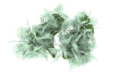 Beyaz arka planda izole edilmiş palmiye ağaçları adası. 3d görüntüleme - illüstrasyon