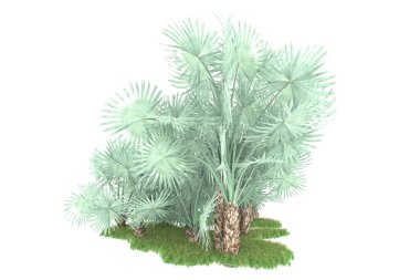 Beyaz arka planda izole edilmiş palmiye ağaçları adası. 3d görüntüleme - illüstrasyon