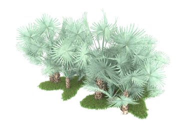 Beyaz arka planda izole edilmiş palmiye ağaçları adası. 3d görüntüleme - illüstrasyon