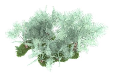Beyaz arka planda izole edilmiş palmiye ağaçları adası. 3d görüntüleme - illüstrasyon