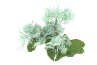 Beyaz arka planda izole edilmiş palmiye ağaçları adası. 3d görüntüleme - illüstrasyon