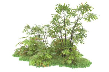 Beyaz arka planda izole edilmiş palmiye ağaçları adası. 3d görüntüleme - illüstrasyon