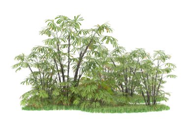 Beyaz arka planda izole edilmiş palmiye ağaçları adası. 3d görüntüleme - illüstrasyon