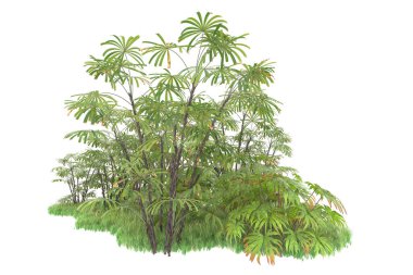 Beyaz arka planda izole edilmiş palmiye ağaçları adası. 3d görüntüleme - illüstrasyon