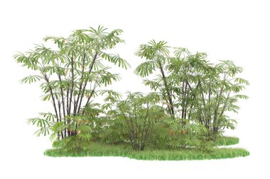 Beyaz arka planda izole edilmiş palmiye ağaçları adası. 3d görüntüleme - illüstrasyon
