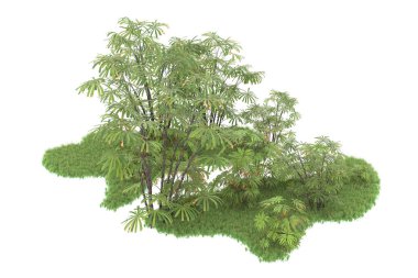 Beyaz arka planda izole edilmiş palmiye ağaçları adası. 3d görüntüleme - illüstrasyon