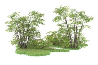 Beyaz arka planda izole edilmiş palmiye ağaçları adası. 3d görüntüleme - illüstrasyon