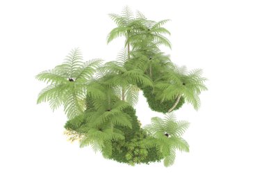 Beyaz arka planda izole edilmiş palmiye ağaçları adası. 3d görüntüleme - illüstrasyon