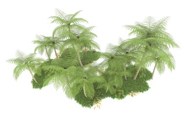 Beyaz arka planda izole edilmiş palmiye ağaçları adası. 3d görüntüleme - illüstrasyon