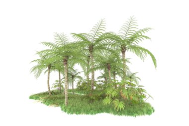 Beyaz arka planda izole edilmiş palmiye ağaçları adası. 3d görüntüleme - illüstrasyon