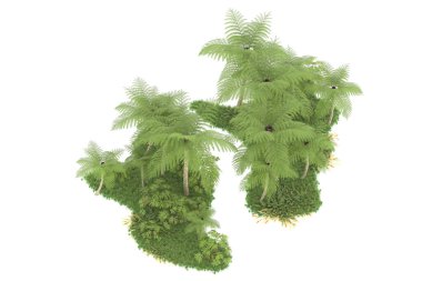 Beyaz arka planda izole edilmiş palmiye ağaçları adası. 3d görüntüleme - illüstrasyon