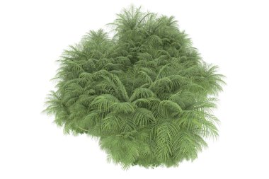 Beyaz arka planda izole edilmiş palmiye ağaçları adası. 3d görüntüleme - illüstrasyon