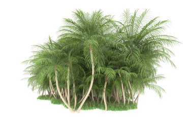 Beyaz arka planda izole edilmiş palmiye ağaçları adası. 3d görüntüleme - illüstrasyon