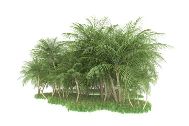 Beyaz arka planda izole edilmiş palmiye ağaçları adası. 3d görüntüleme - illüstrasyon