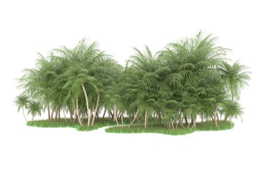 Beyaz arka planda izole edilmiş palmiye ağaçları adası. 3d görüntüleme - illüstrasyon