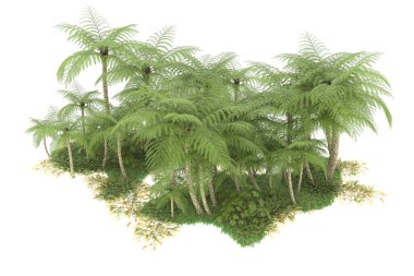 Beyaz arka planda izole edilmiş palmiye ağaçları adası. 3d görüntüleme - illüstrasyon