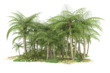 Beyaz arka planda izole edilmiş palmiye ağaçları adası. 3d görüntüleme - illüstrasyon