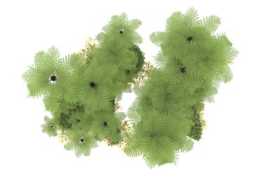 Beyaz arka planda izole edilmiş palmiye ağaçları adası. 3d görüntüleme - illüstrasyon