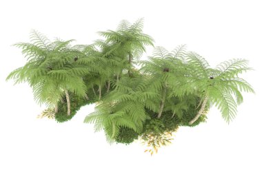 Beyaz arka planda izole edilmiş palmiye ağaçları adası. 3d görüntüleme - illüstrasyon