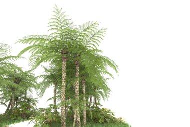 Beyaz arka planda izole edilmiş palmiye ağaçları adası. 3d görüntüleme - illüstrasyon