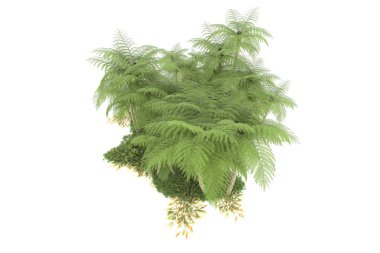 Beyaz arka planda izole edilmiş palmiye ağaçları adası. 3d görüntüleme - illüstrasyon