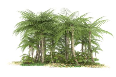 Beyaz arka planda izole edilmiş palmiye ağaçları adası. 3d görüntüleme - illüstrasyon