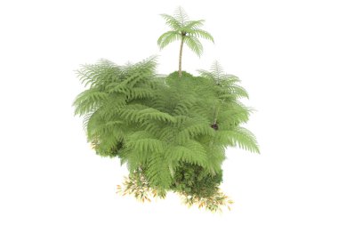 Beyaz arka planda izole edilmiş palmiye ağaçları adası. 3d görüntüleme - illüstrasyon